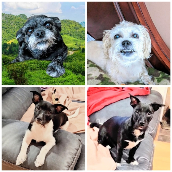 Meet your Seller/Buyer... - Picture 2 of 16